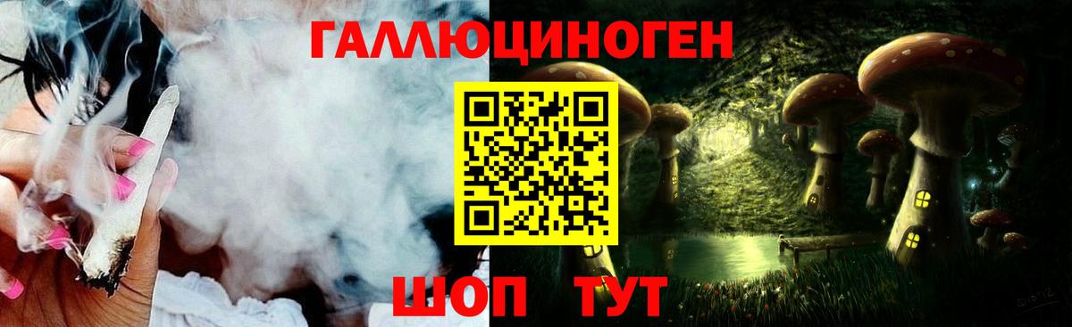 Галлюциногенные грибы Psilocybine cubensis Вологда